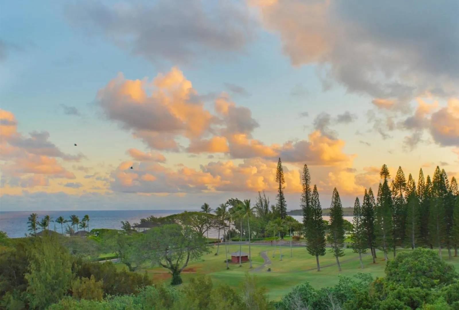 613-15 Kapalua Ridge Villa Kahana Appartement