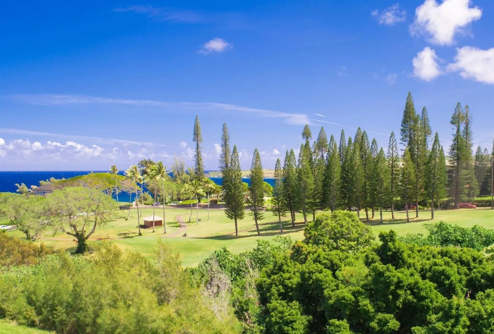 Apartment 613-15 Kapalua Ridge Villa Kahana USA